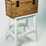 Wooden WP Travel/Storage Box