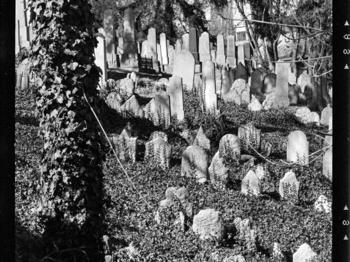 Třebíčský židovský hřbitov objektivem analogového fotoaparátu. Fotogalerie 9 snímků zachycujících jedinečnou atmosféru, hru světel a historii jednoho z nejvýznamnějších míst Třebíče.